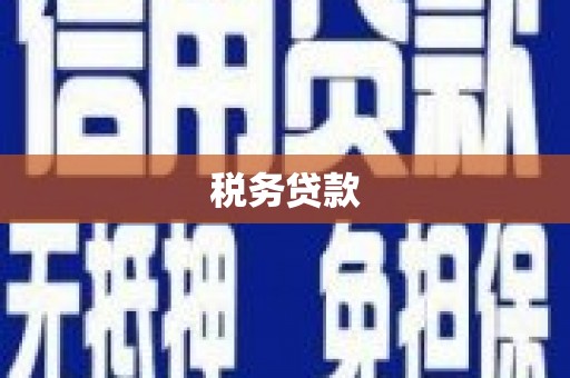 柳营税务贷款