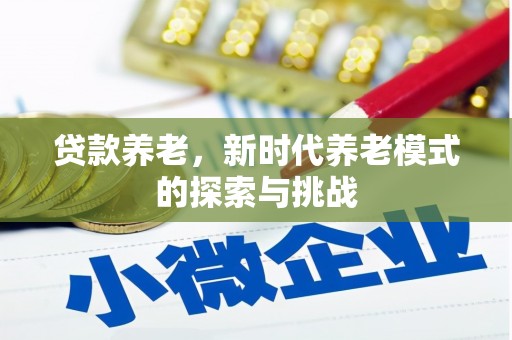 柳营贷款养老，新时代养老模式的探索与挑战