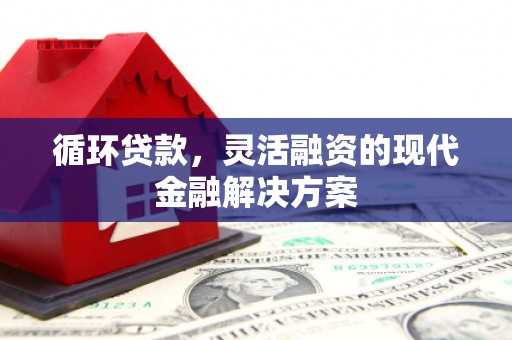 柳营循环贷款，灵活融资的现代金融解决方案