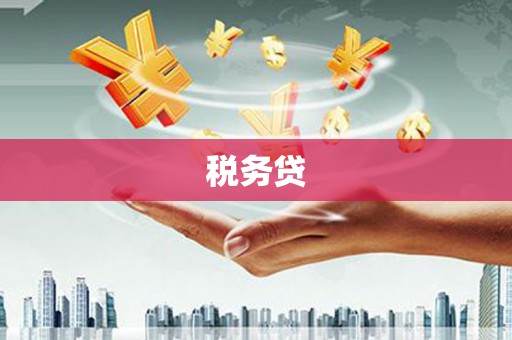 柳营税务贷