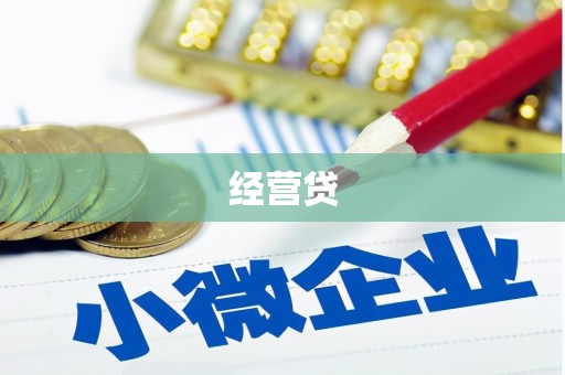 柳营经营贷