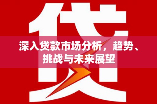 柳营深入贷款市场分析，趋势、挑战与未来展望