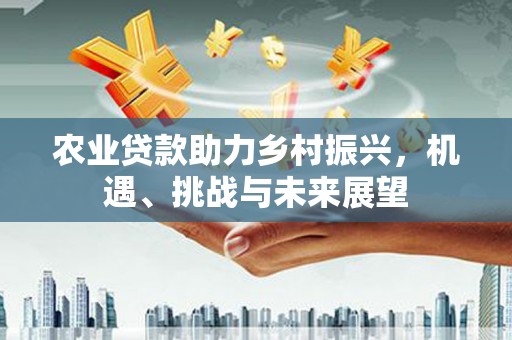柳营农业贷款助力乡村振兴，机遇、挑战与未来展望