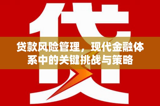 柳营贷款风险管理，现代金融体系中的关键挑战与策略
