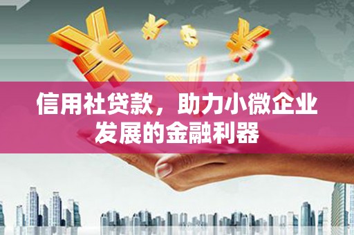 柳营信用社贷款，助力小微企业发展的金融利器