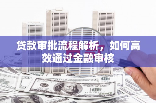 柳营贷款审批流程解析，如何高效通过金融审核