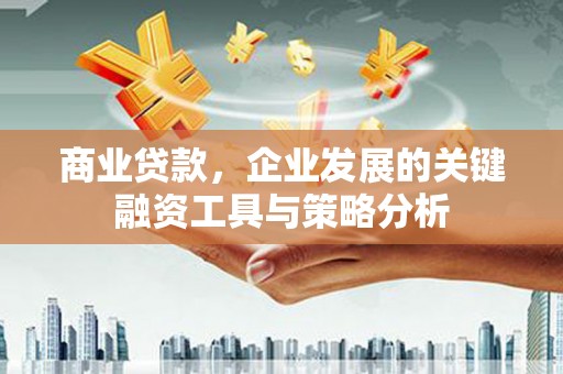柳营商业贷款，企业发展的关键融资工具与策略分析