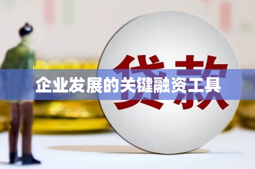 柳营企业发展的关键融资工具