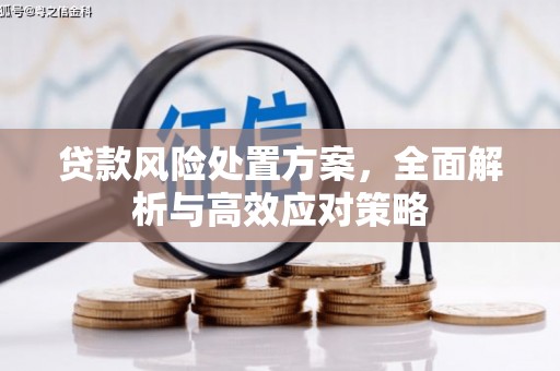 柳营贷款风险处置方案，全面解析与高效应对策略