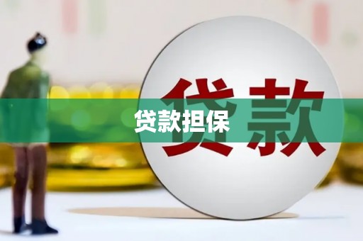 柳营贷款担保