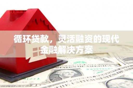 柳营循环贷款，灵活融资的现代金融解决方案