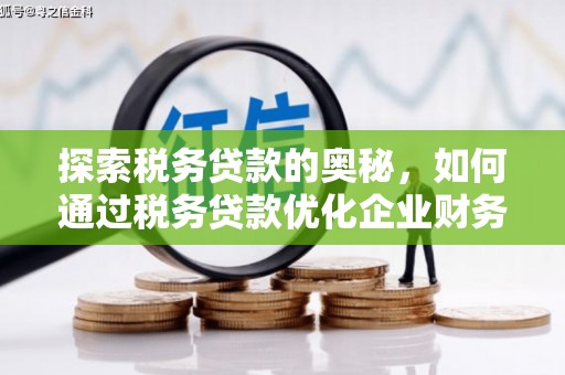 柳营探索税务贷款的奥秘，如何通过税务贷款优化企业财务
