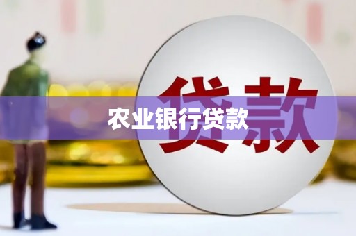 柳营农业银行贷款