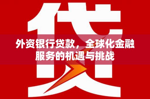 柳营外资银行贷款，全球化金融服务的机遇与挑战