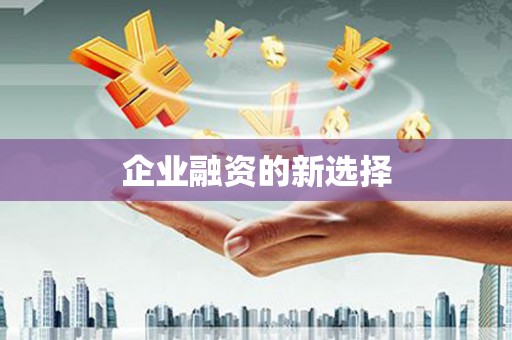 柳营企业融资的新选择