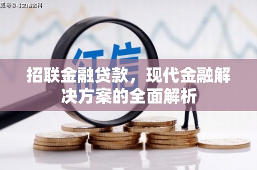 柳营招联金融贷款，现代金融解决方案的全面解析
