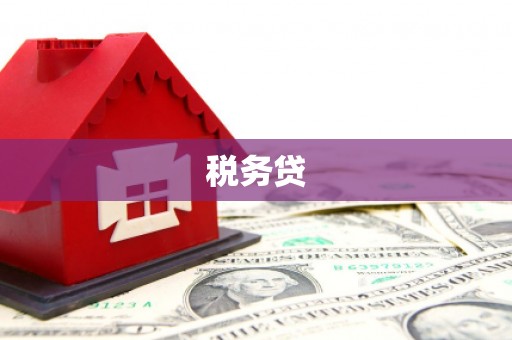 柳营税务贷