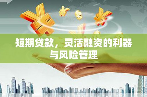 柳营短期贷款，灵活融资的利器与风险管理