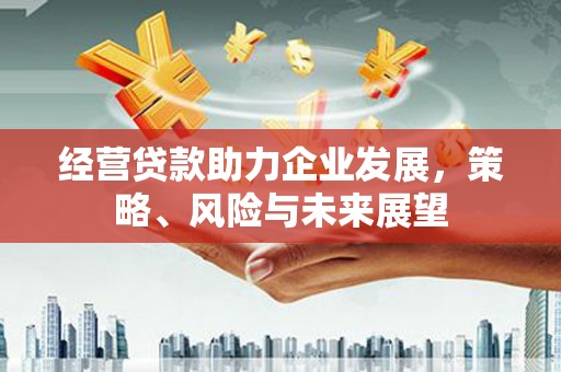 柳营经营贷款助力企业发展，策略、风险与未来展望
