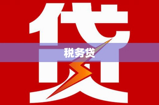 柳营税务贷