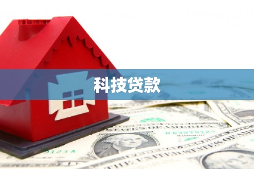 柳营科技贷款