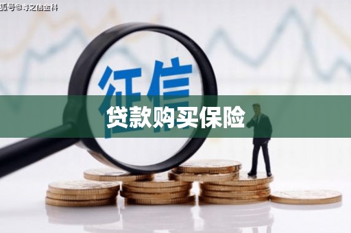 柳营贷款购买保险