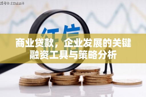 柳营商业贷款，企业发展的关键融资工具与策略分析