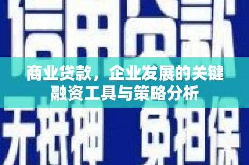 柳营商业贷款，企业发展的关键融资工具与策略分析