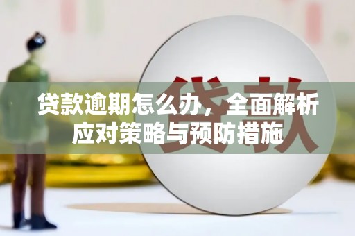 柳营贷款逾期怎么办，全面解析应对策略与预防措施