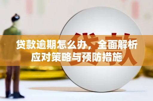 柳营贷款逾期怎么办，全面解析应对策略与预防措施