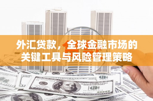 柳营外汇贷款，全球金融市场的关键工具与风险管理策略