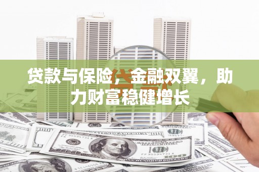 柳营贷款与保险，金融双翼，助力财富稳健增长