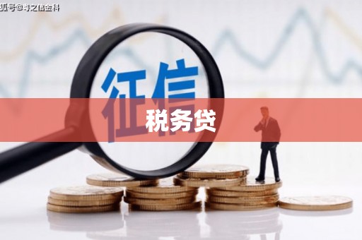 柳营税务贷