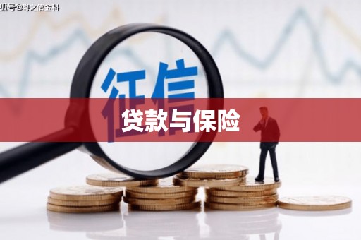 柳营贷款与保险