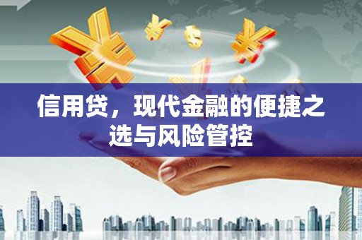 柳营信用贷，现代金融的便捷之选与风险管控