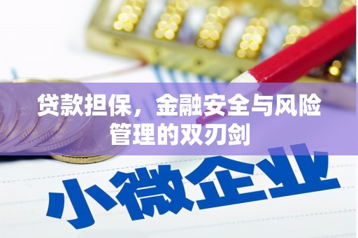 柳营贷款担保，金融安全与风险管理的双刃剑