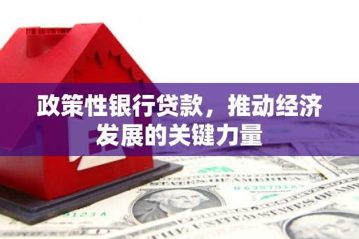 柳营政策性银行贷款，推动经济发展的关键力量