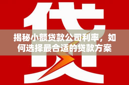 柳营揭秘小额贷款公司利率，如何选择最合适的贷款方案