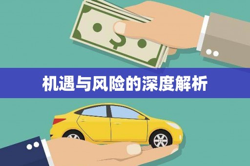 柳营机遇与风险的深度解析