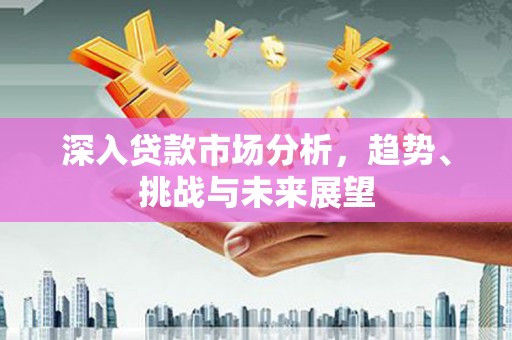 柳营深入贷款市场分析，趋势、挑战与未来展望