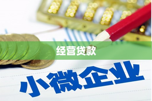 柳营经营贷款