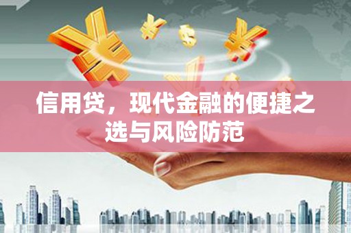 柳营信用贷，现代金融的便捷之选与风险防范