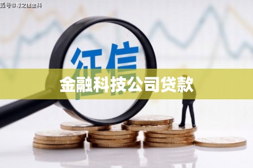 柳营金融科技公司贷款