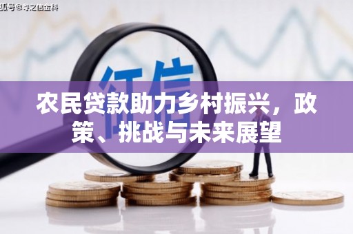 柳营农民贷款助力乡村振兴，政策、挑战与未来展望