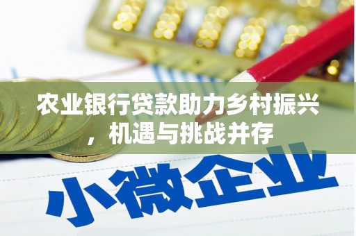 柳营农业银行贷款助力乡村振兴，机遇与挑战并存