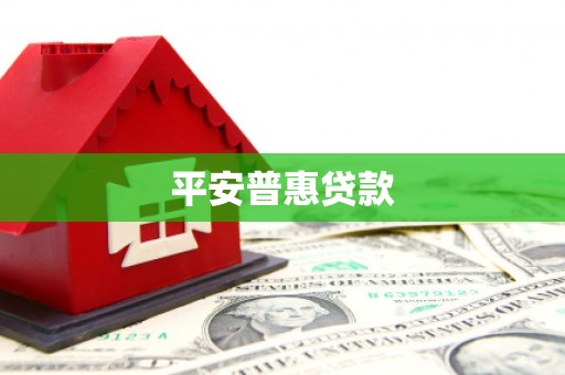 柳营平安普惠贷款
