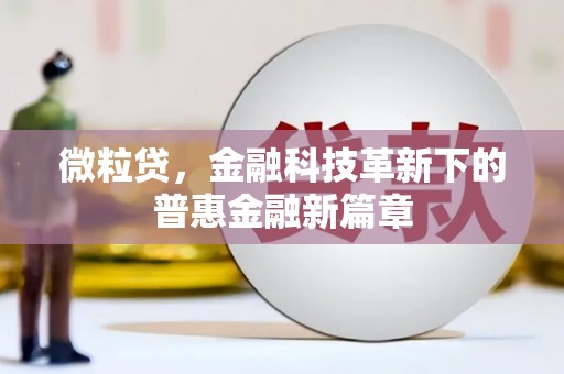 柳营微粒贷，金融科技革新下的普惠金融新篇章