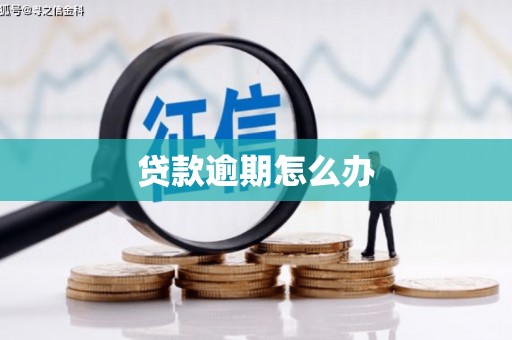 柳营贷款逾期怎么办