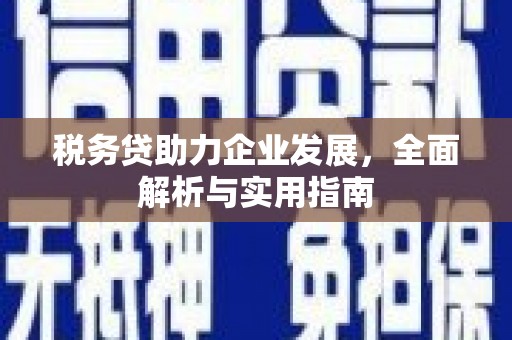 柳营税务贷助力企业发展，全面解析与实用指南