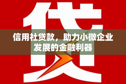 柳营信用社贷款，助力小微企业发展的金融利器